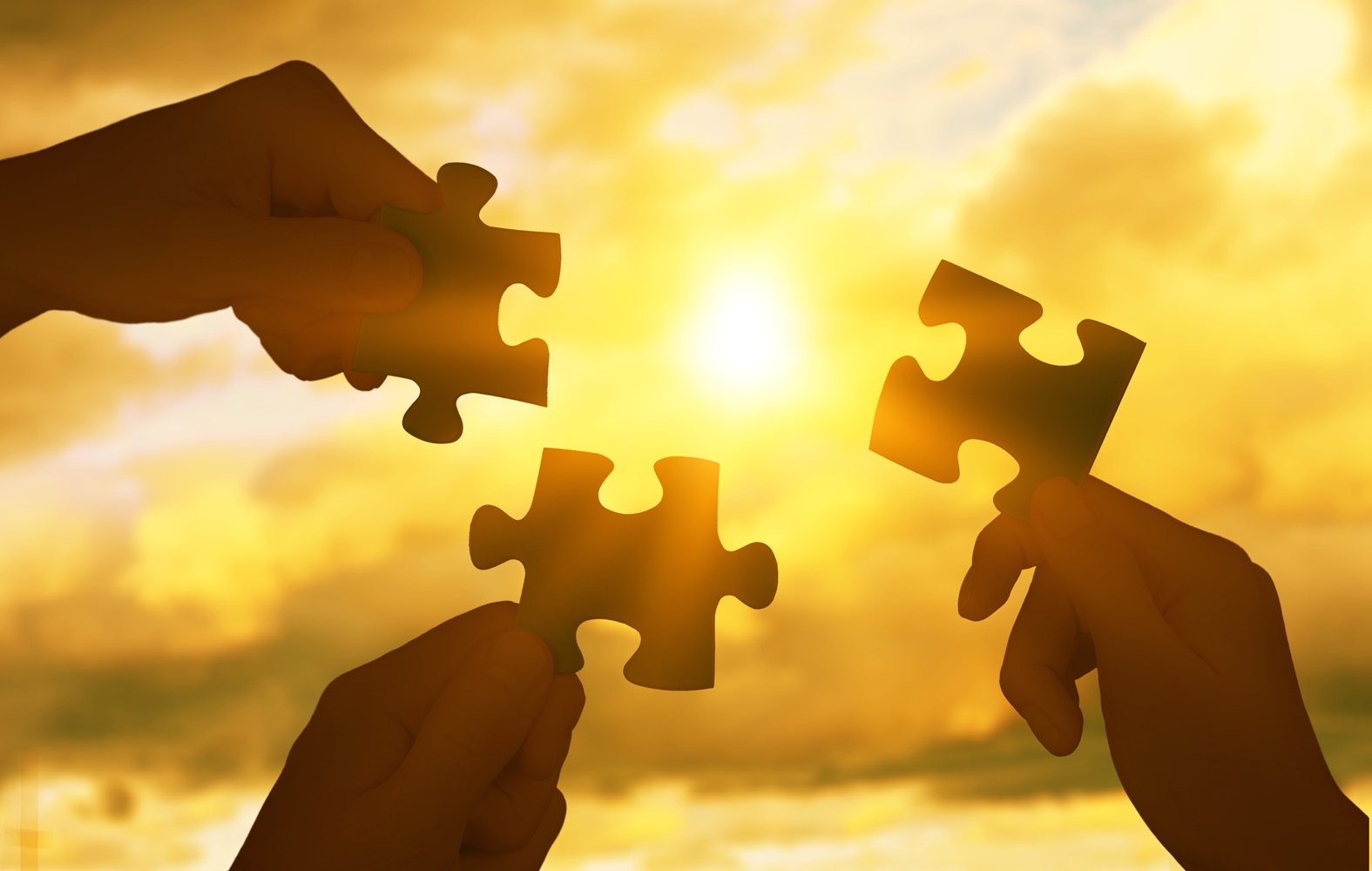 Renewable Energies Stellarsolve Energy